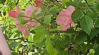 Stepmoms Sweet Treat