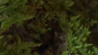 Sexy Video Culanta_makingof_65e4d44