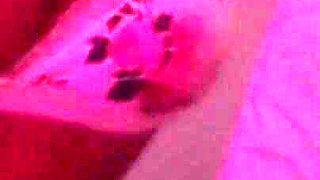 Crazy Step Sister, Big Dick Endless Orgasms