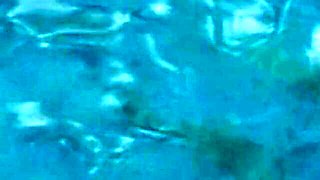 Hoochie's milf smut by Screw My Wife Club