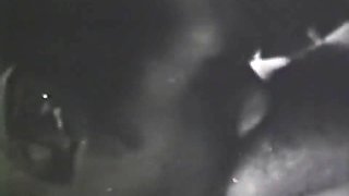 Milf Star Fucked And Orally Pleasured In Vintage Porn