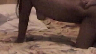 Well endowed man fucking mischievous brunette at motel