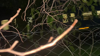 we get caught having sex in public