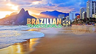 BRAZILIAN TRANSSEXUALS   2 0 Version In Da House