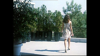 Vulgar Whimsical Pig Film