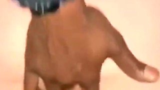 YoungEnglishBBW BBC Nata4sex outdoor blowjob fingering my pussy booty spanking