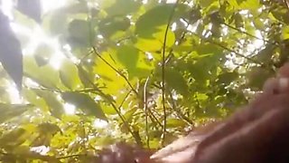 Indian Farm Owner Fucked His Cheating Maid in Jungle
