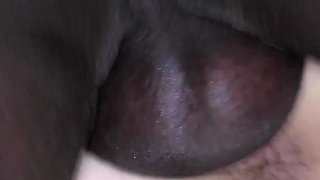 Big Booby Bang with Jordan Pryce and Classy Filth