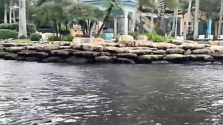 Passionate Miami's 4k video