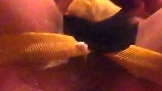 Femdom fisting fron her view Adelina fistude session 01