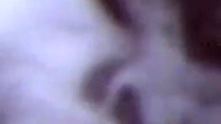 The Hairy Pussies of Yesteryear