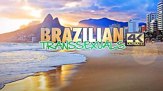 BRAZILIAN TRANSSEXUALS    Sexy Kitty Ka