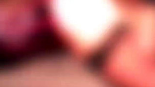 Shakedown - Behind the Scenes Featuring Chanel Preston, Daisy Ducati, Dante Colle