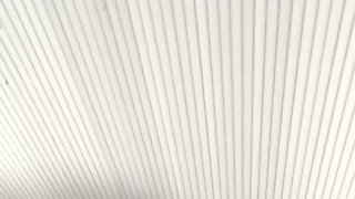 My Friend Was Kind Enough to Capture Some Bts