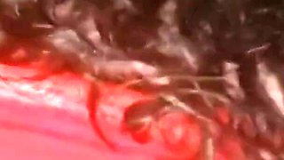 Youngenglishbbw BBc Nata4sex Pounding my ass back sit of my car