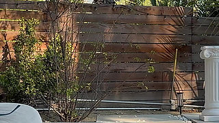 Hot MILF Abi James in Bts