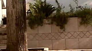 A Very Special Police District (full Movie HD Version)