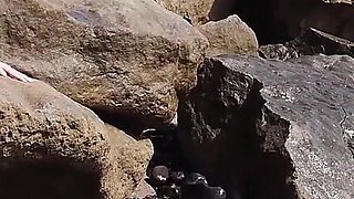 Cock on the Rocks