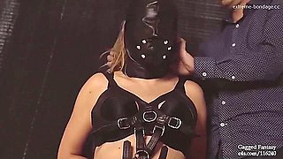 Horny Xxx Video Hd Greatest Full Version