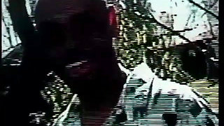 Wild sex with black and ebony