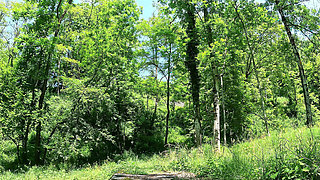I move my pretty ass and show you my sexiest panties in the middle of the forest