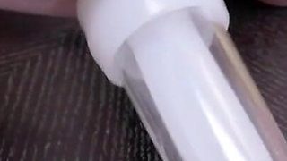 Fat cow has teats hooked up to milking machine