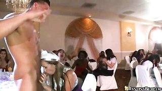 Hussy's party dirt by Dancing Bear