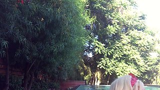Amateur blonde ass fucked