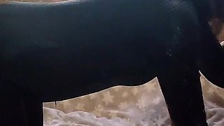 Stepsister gave to fuck herself in anal