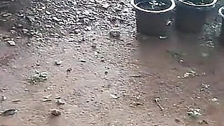 My Step Daughter Before Being Seduced