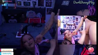 Bunny is Wild
