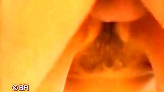 Compilation Of Vintage Sex Dvd