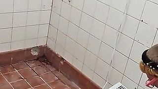 Dirty Toilet Piss Slut
