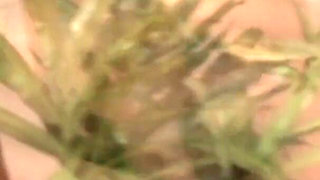 Pierced ebony girl pounded hard from his BBC and milked in mouth
