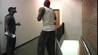 Kacey Kox kinky interracial gangbang porn