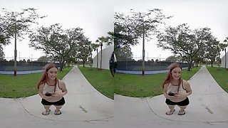 Park Pickup - 3DPickup