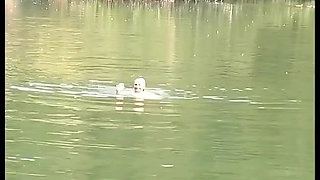 Top solo piss girl Tamara - Mega XXL Pissing