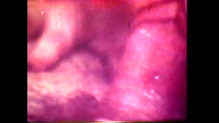 The Doctor Checks the Patient