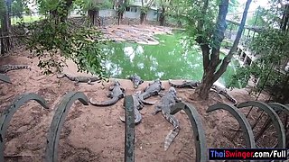 Crocodiles Munching And Thai Gf Cumming With Cherry Lee