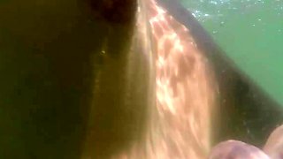 Small titted babe Lauryn May takes