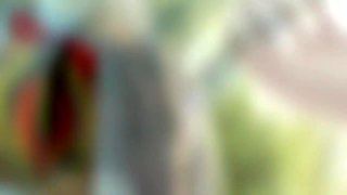 Young A Slut With Brunette Hair Gets Her Ass - Blaire Banks