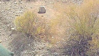 Ebony MILF Taking a Piss Next to the Road and Gets Hubby to Lick Her Pussy Clean After