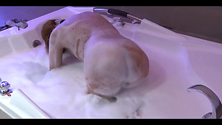 58-year-old Beautiful Mature Can't Resist Anymore and Leaves the Jacuzzi to Be Fucked