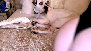 Busty curly brunette with big boobs fucks on couch