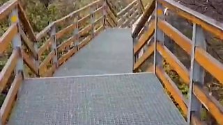 Slutty redhead gives a nice blowjob to an older guy outdoor and takes his cum in her mouth