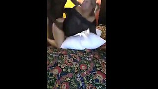 Cuckold Husband Films His Sexy Girl Getting Pounded by a BBC