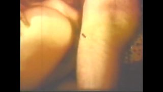 Vulgar Capricious Pig