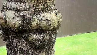 Euro blonde amateur fucks POV outdoor