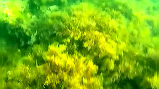 I Was Fishing Underwater but Instead of Fish Met Sexy Girl Who Flashed Me Her Hairy Pussy
