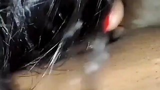 Stepmom Teaches Sex Her Step Son Full Video Indian